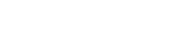 iBizSoft